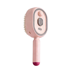 Steam Brush
